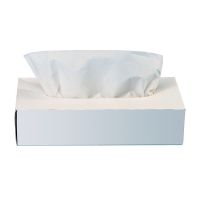 Салфетки косметические двухслойные, белые, 100 штук в упаковке, 21 упаковок в коробке