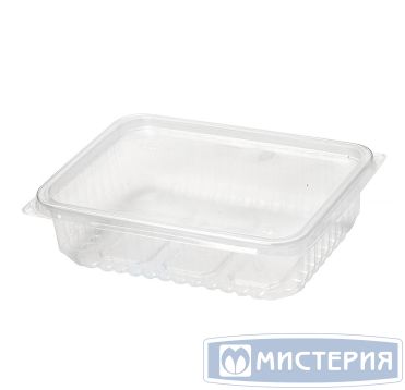 Контейнер прямоугольный 179х132х46мм, 750 мл, полупрозрачный